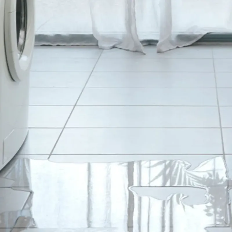 Appliance Leak Cleanup in Trenton, MO