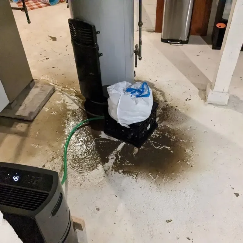 Sewage Backup Cleanup Service in Trenton, MO